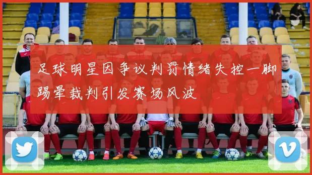 足球明星因争议判罚情绪失控一脚踢晕裁判引发赛场风波