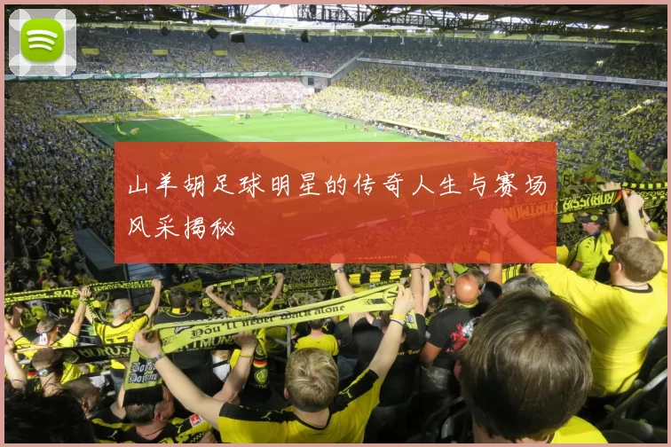 山羊胡足球明星的传奇人生与赛场风采揭秘