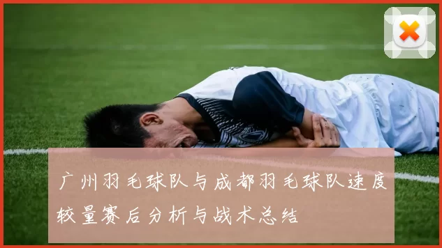 广州羽毛球队与成都羽毛球队速度较量赛后分析与战术总结