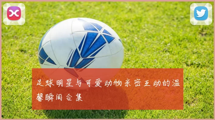 足球明星与可爱动物亲密互动的温馨瞬间合集