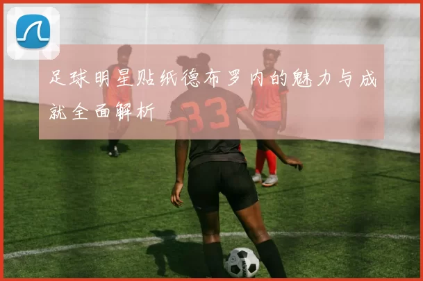 足球明星贴纸德布罗内的魅力与成就全面解析