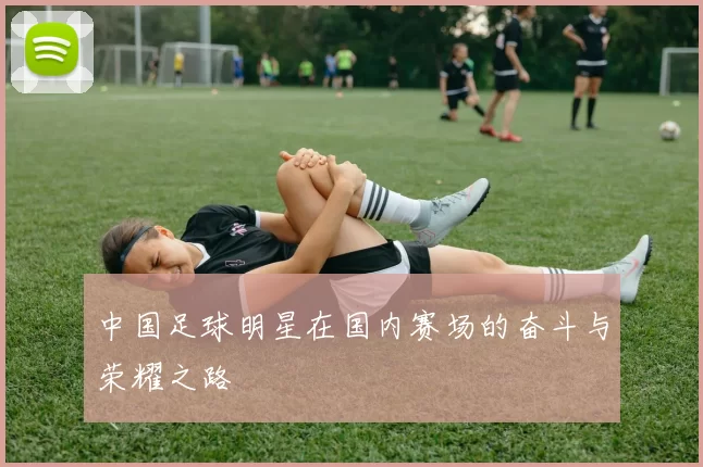 中国足球明星在国内赛场的奋斗与荣耀之路