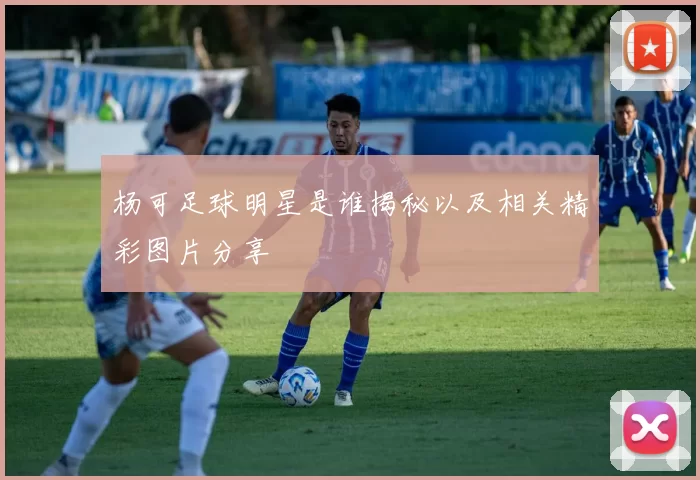 杨可足球明星是谁揭秘以及相关精彩图片分享