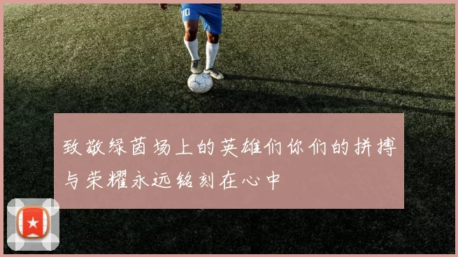 致敬绿茵场上的英雄们你们的拼搏与荣耀永远铭刻在心中