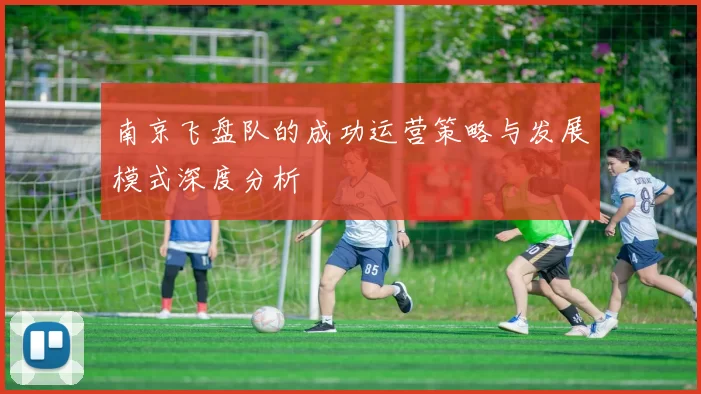 南京飞盘队的成功运营策略与发展模式深度分析