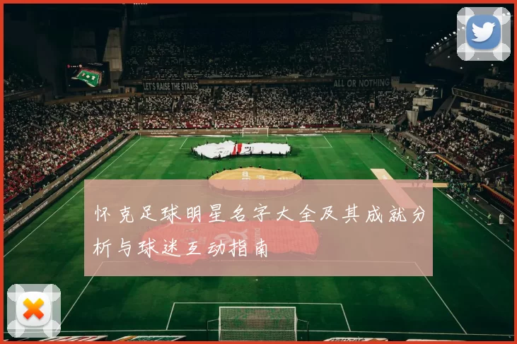 怀克足球明星名字大全及其成就分析与球迷互动指南