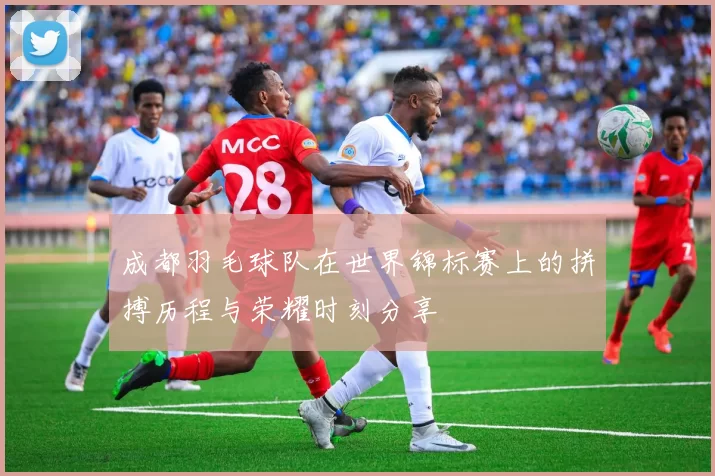 成都羽毛球队在世界锦标赛上的拼搏历程与荣耀时刻分享