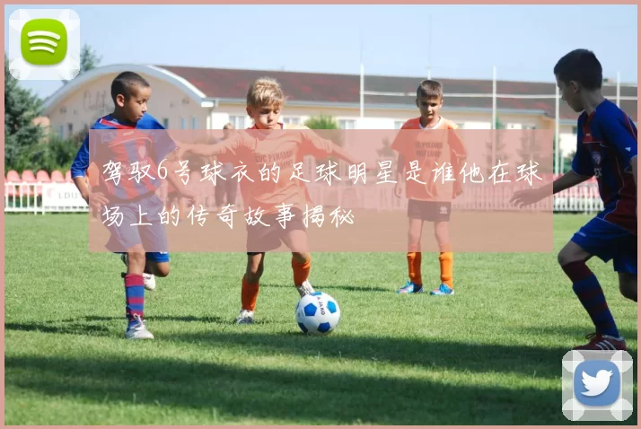 驾驭6号球衣的足球明星是谁他在球场上的传奇故事揭秘