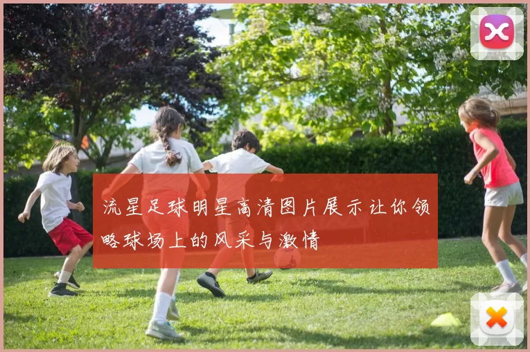 流星足球明星高清图片展示让你领略球场上的风采与激情