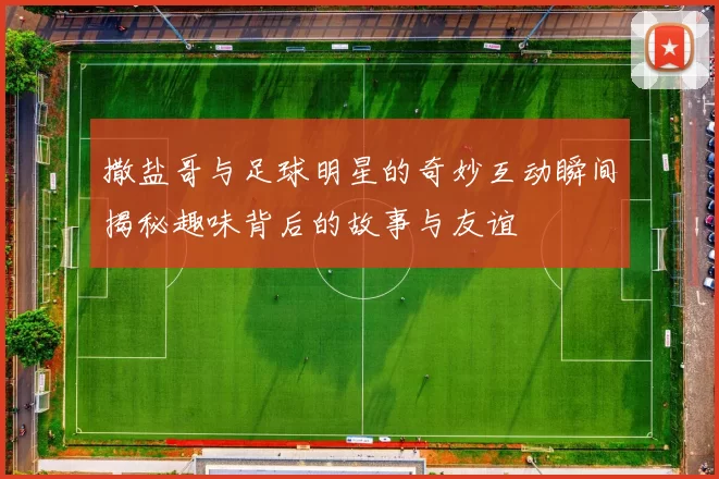 撒盐哥与足球明星的奇妙互动瞬间揭秘趣味背后的故事与友谊