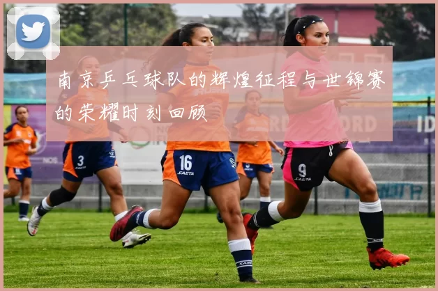 南京乒乓球队的辉煌征程与世锦赛的荣耀时刻回顾