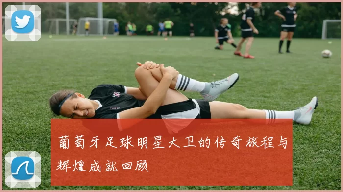 葡萄牙足球明星大卫的传奇旅程与辉煌成就回顾