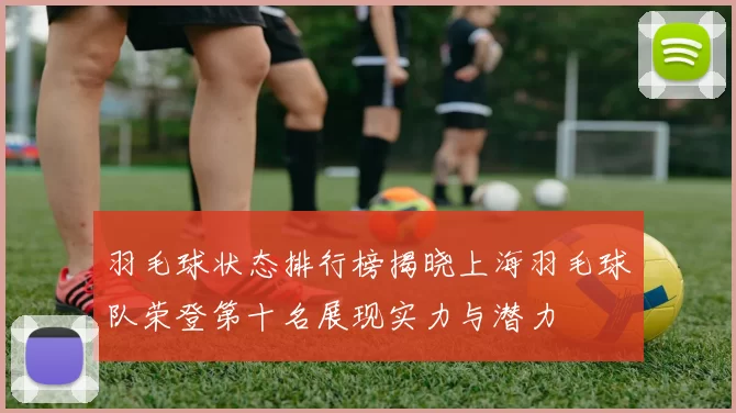 羽毛球状态排行榜揭晓上海羽毛球队荣登第十名展现实力与潜力