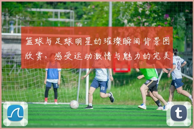 篮球与足球明星的璀璨瞬间背景图欣赏，感受运动激情与魅力的完美结合
