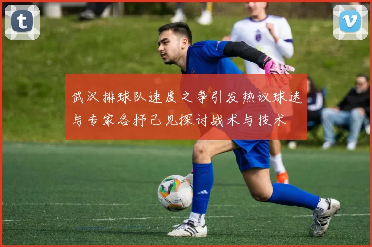 武汉排球队速度之争引发热议球迷与专家各抒己见探讨战术与技术