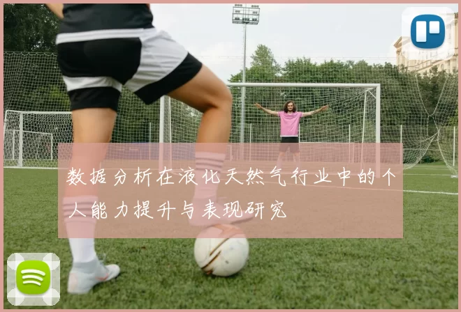 数据分析在液化天然气行业中的个人能力提升与表现研究