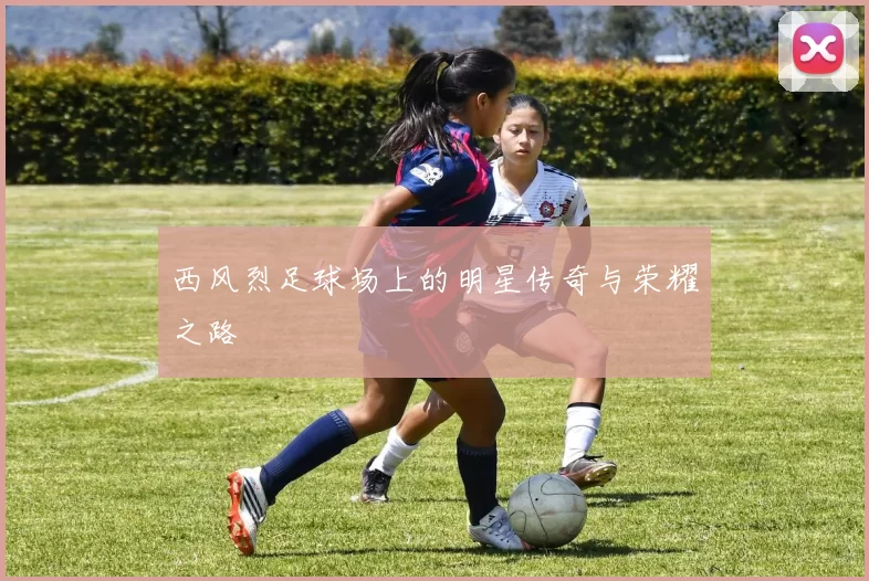 西风烈足球场上的明星传奇与荣耀之路