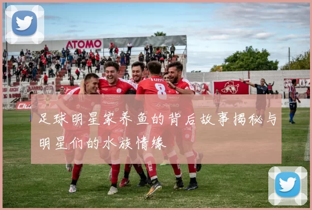 足球明星家养鱼的背后故事揭秘与明星们的水族情缘
