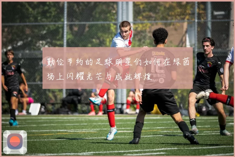 勤俭节约的足球明星们如何在绿茵场上闪耀光芒与成就辉煌