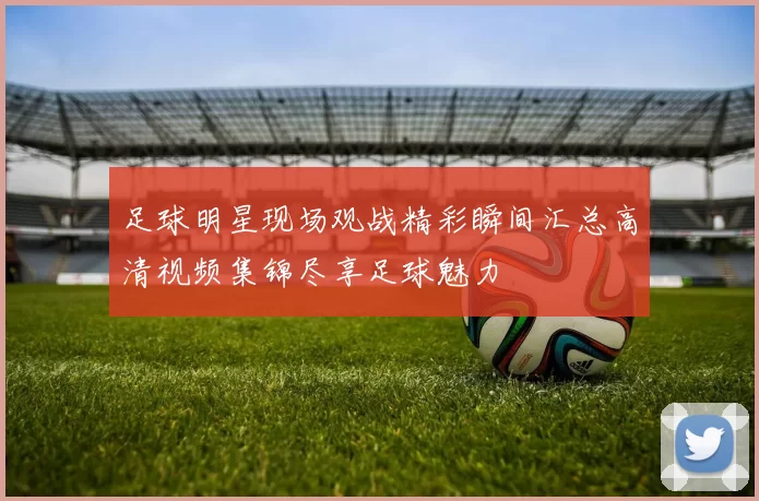 足球明星现场观战精彩瞬间汇总高清视频集锦尽享足球魅力